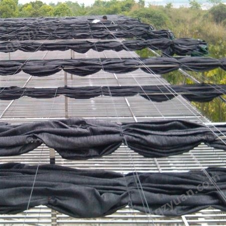 安庭黑色遮光网抗老化夏季农用种植大棚养殖遮阳网史悦