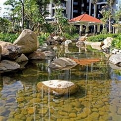 园林景观水处理 庭院别墅景观鱼池水净化处理 杭州佳劲设备直销