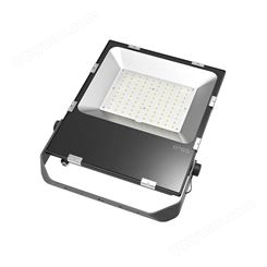 EBF207(LQ)-100W照明灯具 EBF207(LQ)-L100免维护LED灯/IP65