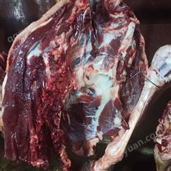 驴肉生产厂家 茂隆出售冷冻驴肉