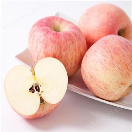 一吨苹果放冷库成本 嫁接红肉苹果 代收苹果 产地批发