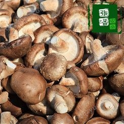 河南香菇批发 张攀农业 菌种菌棒生产厂家