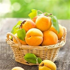黄桃罐头品牌直销 水果罐头巨鑫源 出口内销