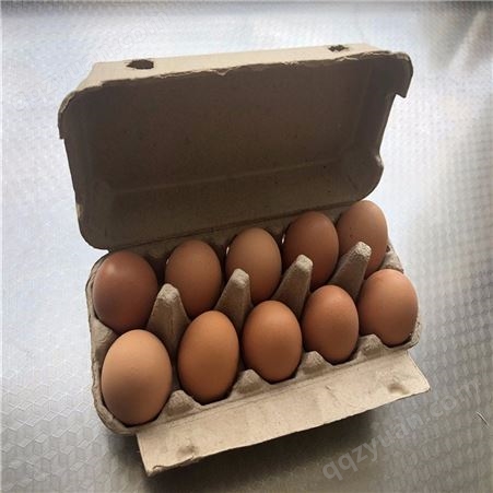 10枚鸡蛋保护托-山东卓尔纸塑-出售