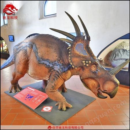 仿真恐龙模型大型会动机械恐龙模型博物馆软体橡胶恐龙展品装置定制