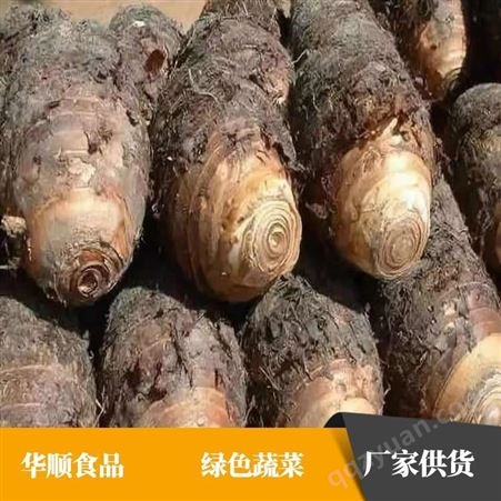 新鲜芋头产地批发 属于粮食作物基地供货 华顺食品