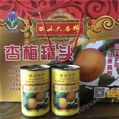 丹东特产杏梅罐头  水果罐头 罐头批发