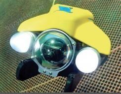 VideoRay Pro4水下机器人