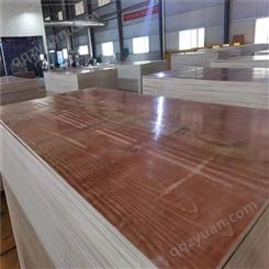天津中筑木业厂家出售红色刷漆-红色松木花膜-红色/黑色覆膜建筑模板批发