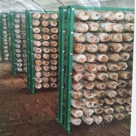 食用菌网格蘑菇网架养殖网片平菇出菇网格杏鲍菇培养架香菇出菇架