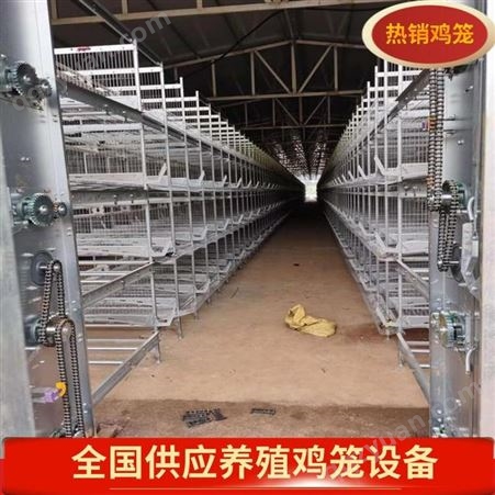 厂家 出售养殖鸡笼 成年鸡笼 立式蛋鸡笼 自动出粪机