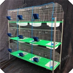 定制各种规格兔笼 三层12位立式兔笼 免清粪层叠兔子笼