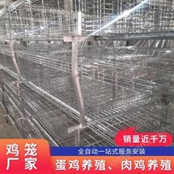 层叠式三层大笼位肉鸡笼  鸡笼厂生产各种规格鸡笼