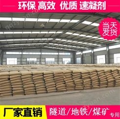 支护锚固剂 水泥添加剂 杭州速凝剂 厂家原料价格 提高水泥早期强度
