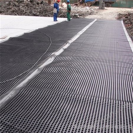 路达 加工定制 凹凸排水板 hdpe排水板 凹凸排水板价格 排水板生产厂家