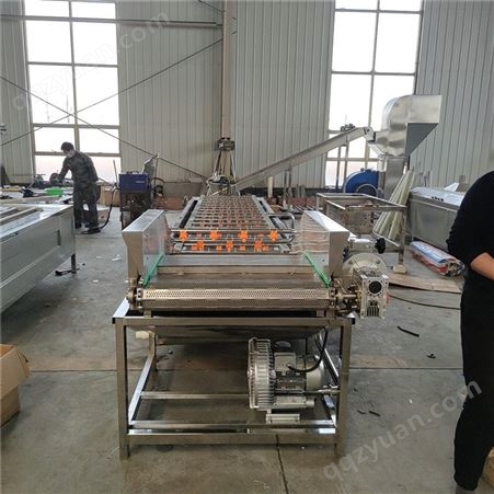 全自动芸豆清洗机白玉菇加工设备花椰菜漂烫设备HY-508浩远机械