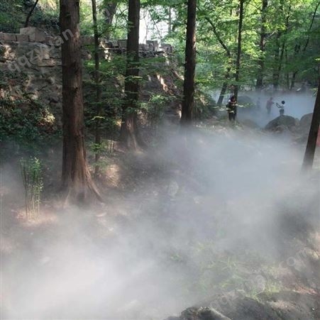 重庆园林景观造雾设备 精细雾化高压喷雾设备