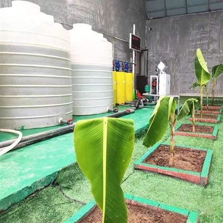 甘肃智能水肥一体机 农业灌溉设备 大棚滴灌喷灌全自动施肥机 大行农业