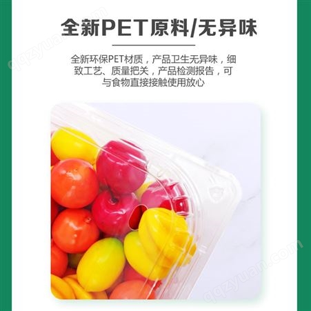 大千塑料生产销售一次性大容量水果蔬菜保鲜包装盒打包盒带盖