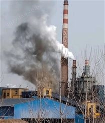 木炭厂环保烟气在线监测系统TR-9300型售后及时有保障