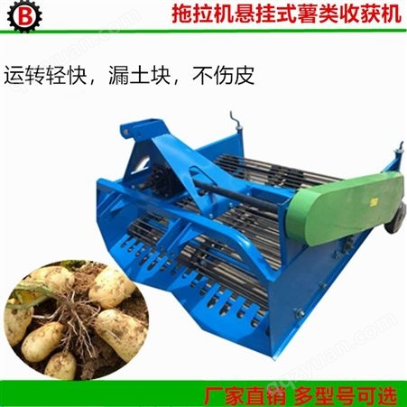 供应土豆红薯收获机 不同宽幅拖拉机带薯类收割机 起署机