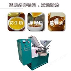 中小型油坊玉米茶籽花生多功能不锈钢榨油机 可定制  腾鑫机械