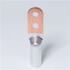 中雷生产DT-500平方铜鼻子，双孔铜铝端头，接线端子